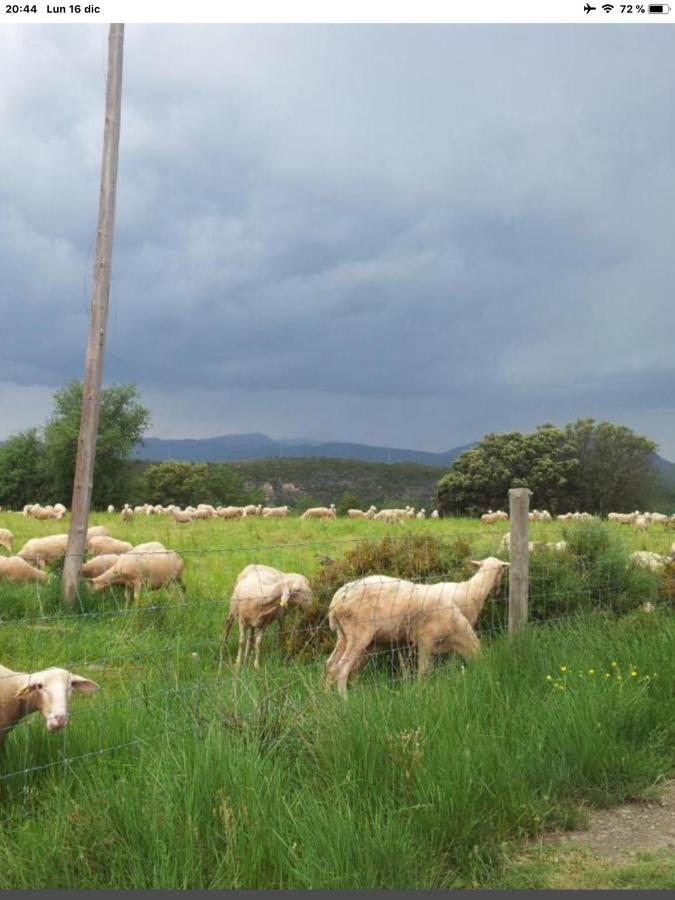 Vistas A La Montana En Un Pueblo Con Encanto. El Pueyo de Araguás Εξωτερικό φωτογραφία