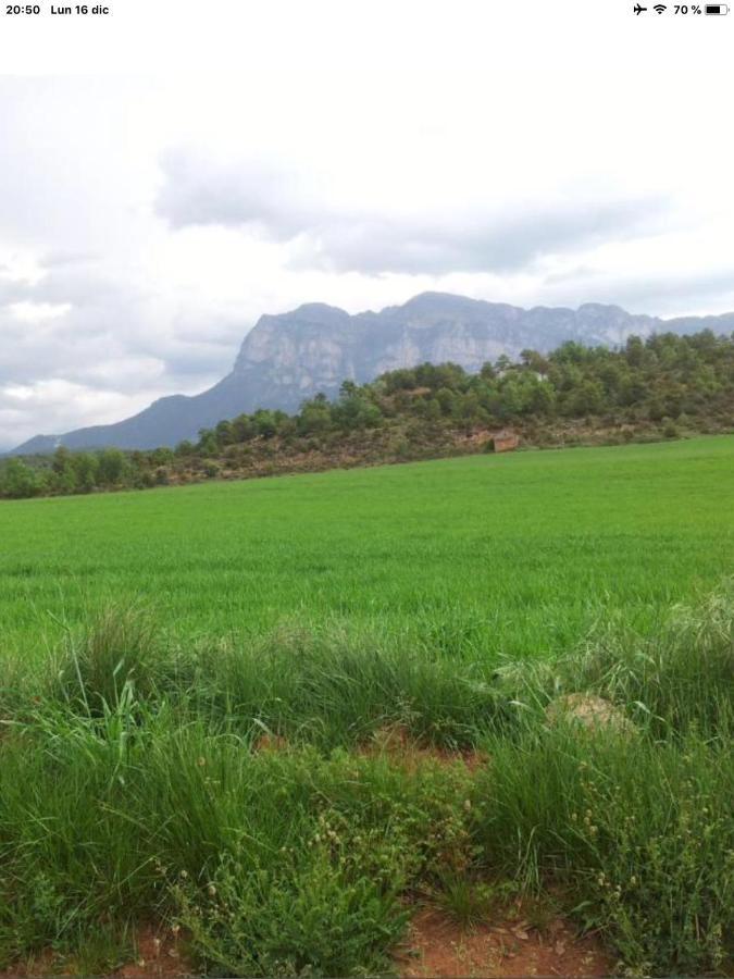 Vistas A La Montana En Un Pueblo Con Encanto. El Pueyo de Araguás Εξωτερικό φωτογραφία