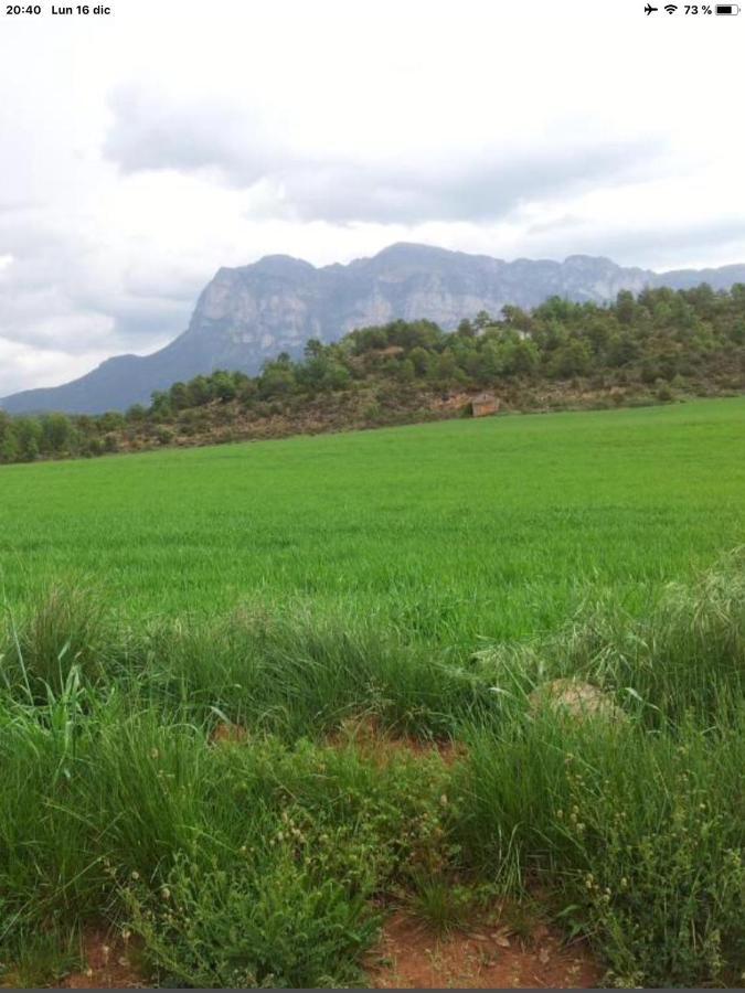 Vistas A La Montana En Un Pueblo Con Encanto. El Pueyo de Araguás Εξωτερικό φωτογραφία