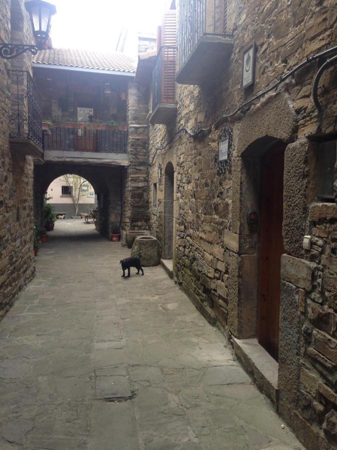 Vistas A La Montana En Un Pueblo Con Encanto. El Pueyo de Araguás Εξωτερικό φωτογραφία